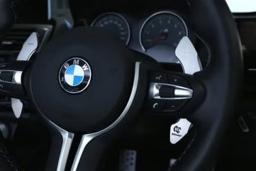 Лепестки на руле что это?