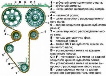 Ремень газораспределительного механизма где находится?