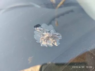 Треснуло лобовое стекло что делать?